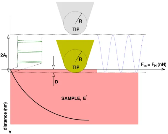 Figure 3.3: Elastic contact force. The tip touches the sample in a fraction of its oscillation period.