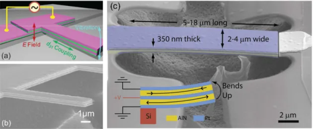 Figure 7. Piezoelectric actuation. (a) In most experiments using piezoelectric actuation at the nanoscale, the d 31 coupling is used