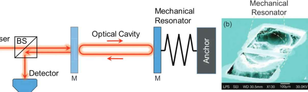 Figure 2. An optomechanical system and actuation of nanomechanical motion by radiation pressure.