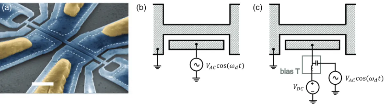 Figure 5. (a) An example of a silicon NEMS device actuated electrostatically and detected using piezoresistive gauges