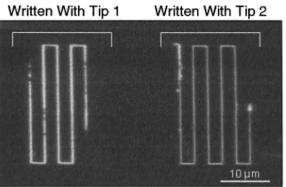 FIG. 8. Developed resist lines patterned by two tips simultaneously. The exposing current from each tip was independently controlled.