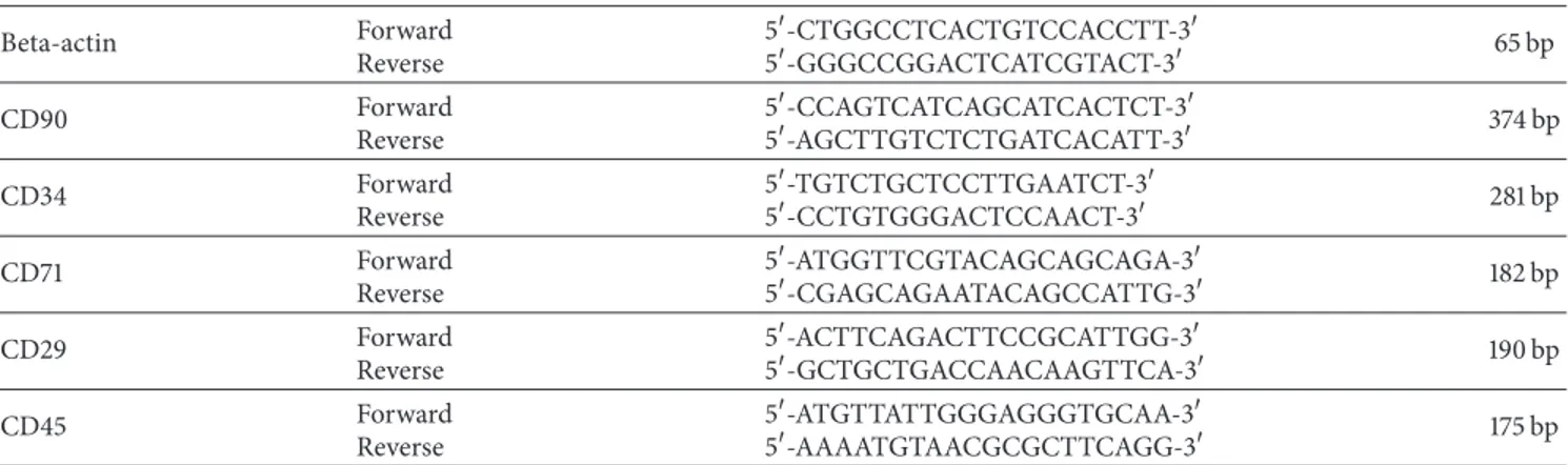 Table 1: RT-PCR conditions for each primer. Beta-actin Forward Reverse 5 