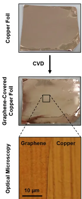 FIG. 1. Photographs of a copper foil before and after CVD-growth of graphene, together with an optical microscopy image of a partially graphene covered region.
