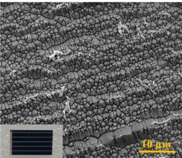 Figure 1 shows the scanning electron microscopy image of solar cell texture where the overall view of the cell is shown in the inset