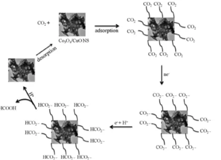 Figure 12 reveals a probable mechanism for CO 2 conversion into formic acid on the Co 3 O 4 /CuO surface