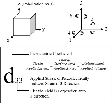 Figure 1.3: Direction of polarization and applied forces in a piezoelectric crystal. The letter 