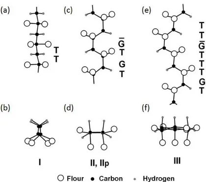 Figure 2.4: Different crystal structure of PVDF. a-b) Piezoelectric form I chain TT structure