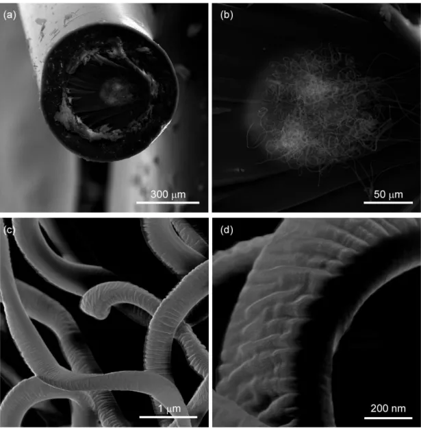 Figure 3.7: (a) Cross sectional SEM images of the second step nanoribbons embedded in PES  fiber  prepared  by  breaking  just  after  liquid  nitrogen  cooling