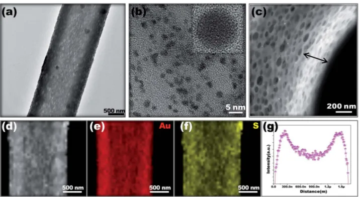 Fig. 1 (a) TEM image of the gold nanocluster (AuNC) encapsulated porous cellulose acetate ﬁber (pCAF/AuNC)