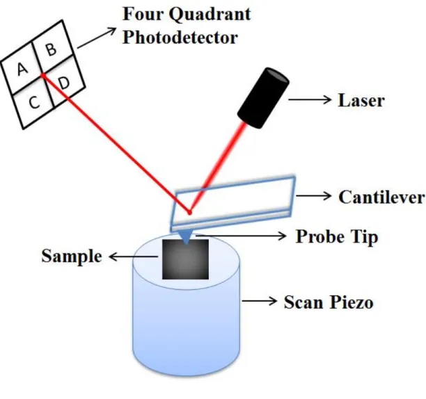 Figure 3.6 A basic illustration of an atomic force microscope (AFM) setup. 