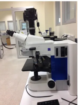 Figure 3.7 The optical microscope used for the work presented here (Carl Zeiss Axio  Imager.A2m)