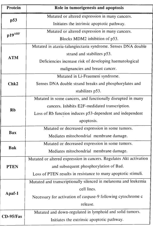 Table  1-4:  Summary  of  the  Roles  of  Apoptotic  Initiators,  Regulators  or  Executioners in  Tumorigenesis and  Apoptosis