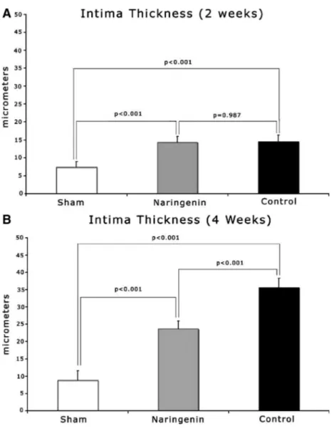 FIGURE 5. Effect of naringenin on intimal thickness at 2 (A) and 4 (B) weeks, the  dis-tance between the inner intimal surface to the internal elastic lamina