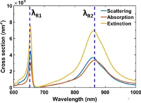 Figure 6 shows that at both Peak1 and Peak2 (λ R1 , λ R2 ) absorption cross section is almost identical to the scattering cross section, and also equal to half of the extinction cross section, i.e., C ext ≈ 2C sca ≈ 2C abs 