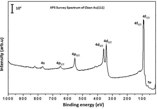 Figure 3.2: A representative survey XP spectrum of the clean Au(111) single crystal.