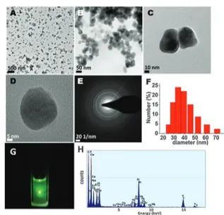 Fig. 1 TEM images of PEI-coated NaYF 4 :(Yb +3 , Er +3 )/Ce +3 nanoparticles (A–D), (E) SAED (selected area electron diffraction) pattern, (F) histogram of the particle size distribution from DLS measurements, (G) emission from UCNP solution in methanol (1