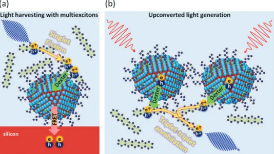 Figure 10 schematically exemplifies two schemes that deploy  organic–nanocrystal hybrids for efficient light-harvesting and  upconversion applications