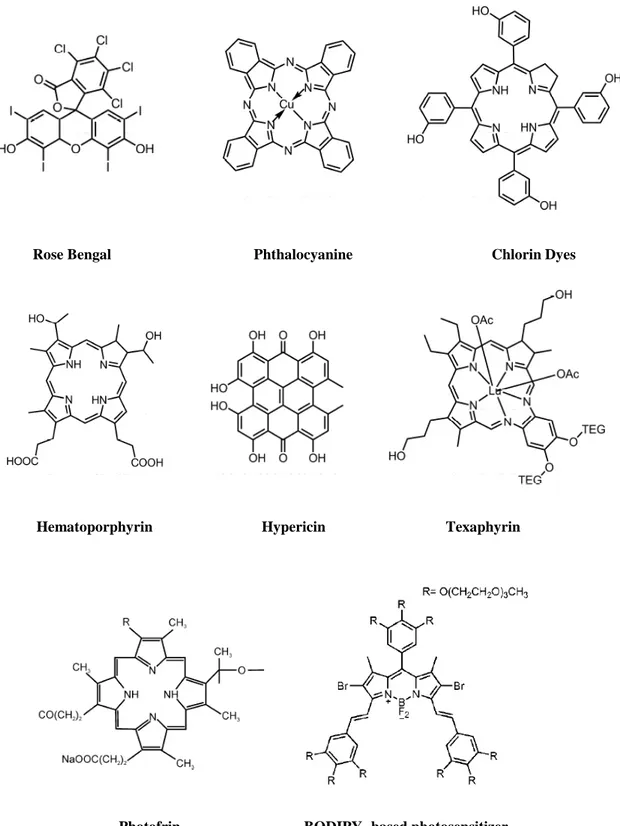 Figure 5: Structures of Some Photosensitizers in Literature. 