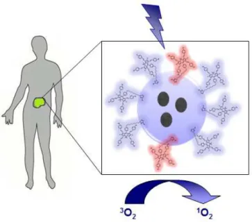 Figure 13: Representative Design of Target Nanoplatform 