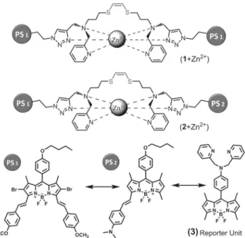 Figure 2. Modular design and synthetic route to prepare the proposed cage ligands (1 and 2).