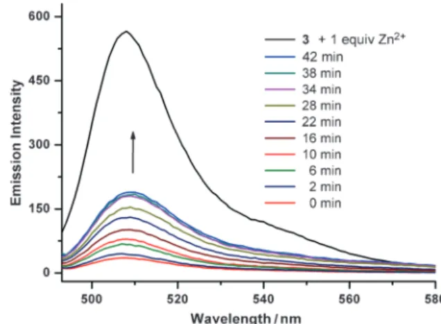 Figure 5. Emission spectra showing the fluorescence response of compound 3 (DPA-BOD) after uncaging of 2 + Zn 2+ (5.0 mm each) by light irradiation (recorded in CH 3 CN)