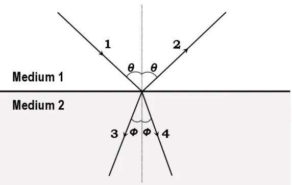 Figure 2.6: Schematic drawing of incident (1), reflected (2), negatively  refracted (3) and positively refracted (4) beams