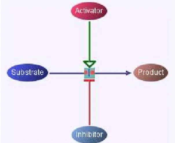 Figure 2.2: A Sample Cellular Process Drawn With PATIKA