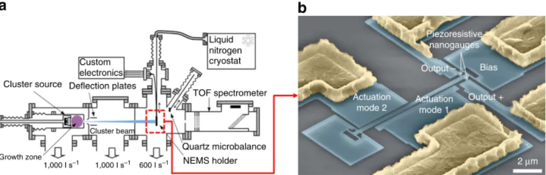 Figure 1 | Hybrid setup for TOF-MS and NEMS-MS of nanoparticles. (a) Diagram showing the full setup from left to right: the cluster source, an intermediate chamber comprising deﬂection plates, the deposition chamber and an in-line TOF mass spectrometer