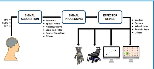 Figure 1.1: Flow diagram of a general BCI system