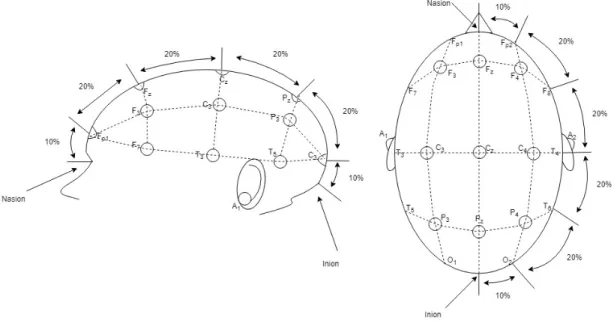 Figure 1.2: 10-20 International Electrode Placement System