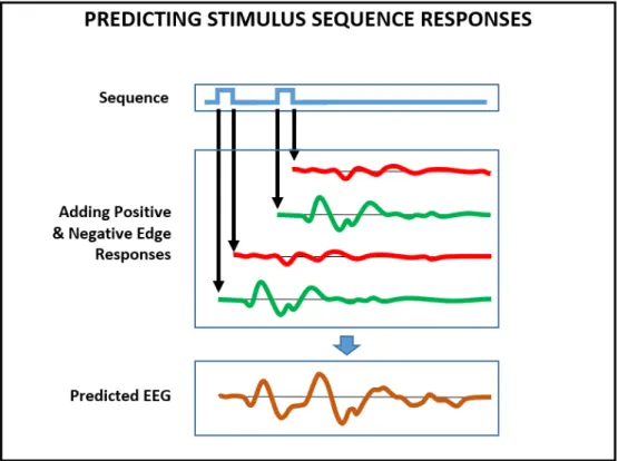 Figure 3.4: This Figure illustrates the process of predicting the EEG response of a simple stimulus pattern using the superposition-based model
