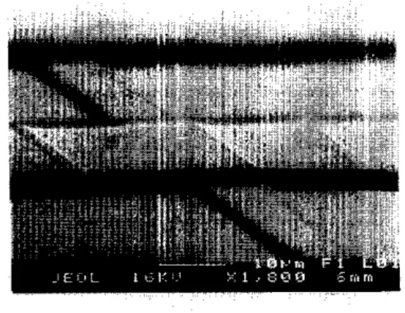 Fig.  5.  Oblique  vieTV  of  an  artificial  transmission  line  sec-  tion 