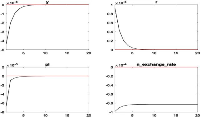 Figure 2 The Impulse Response Functions to a Monetary Policy Shock (PF) 19