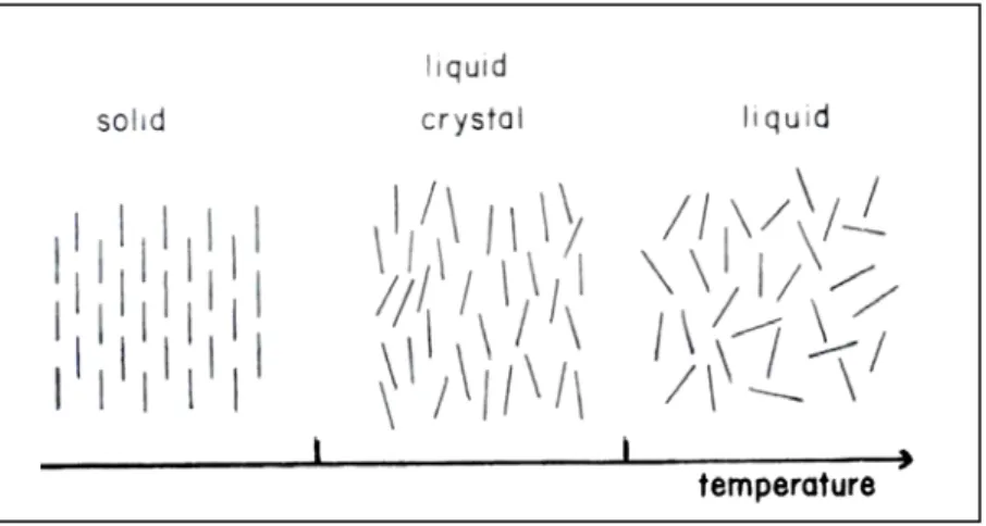 Figure 1. Representative phase transition, from solid to liquid crystal and then to liquid phase [35].