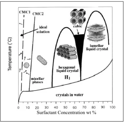 Figure 4. Schematic phase diagram for C 16 TMABr in water [40].