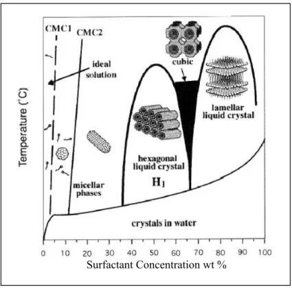 Figure 4. Schematic phase diagram for C 16 TMABr in water [40].