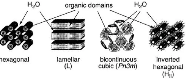 Figure 8. Lyotropic liquid crystalline phases used as structure directing media (Template) [109 a ].