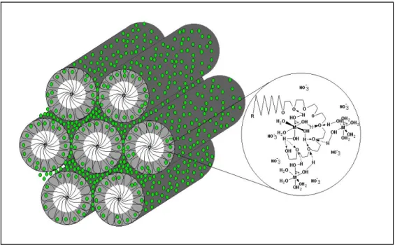 Figure 10. Representation of structure of LC phase formed directly with metal aqua complexes by the help of hydrogen bonding.
