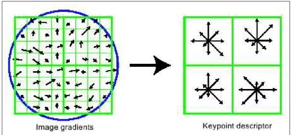 Figure 3.2: On the left are the gradient magnitude and orientation of the points in the region around the keypoint, which are weighted by a Gaussian window, indicated by the overlaid circle