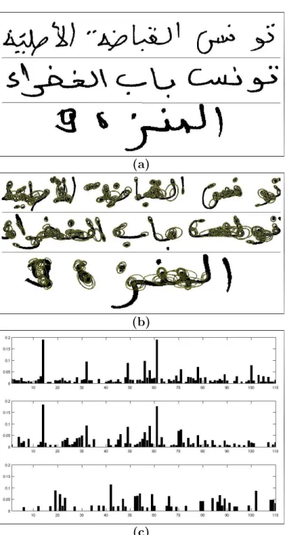 Figure 3.6: (a) Three words from Arabic dataset, (b) affine regions of the words and (c) tf-idf represented feature vectors of the words