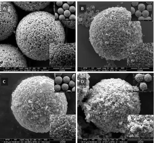 Fig. 1. SEM photos of microbeads (a) Plain poly (MMES-co-GDMA) microbeads, (b) Magnetic poly (MMES-co-GDMA) microbeads, (c) Gold decorated magnetic poly (MMES-co- (MMES-co-GDMA) microbeads, (d) Silver coated-magnetic poly (MMES-co-(MMES-co-GDMA) microbeads