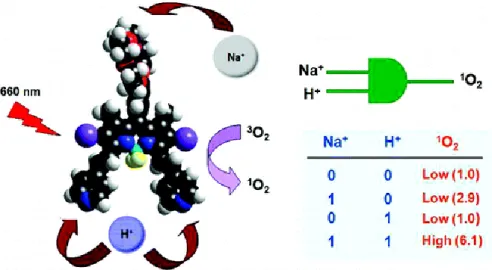 Figure  17: Photodynamic therapy agent and AND logic gate by Akkaya et al. 