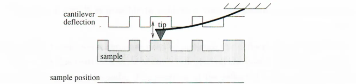 Figure  1.2:  Constant  height  mode of operation.  Tip  position  hence  the  deflection  of the  cantilever changes  according  to  the  sample  surface.