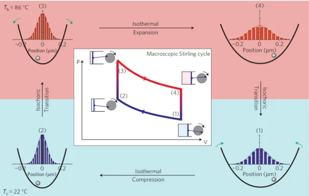 Figure 2.4: Schematic comparison of a macroscopic Stirling cycle and its realization in a colloidal system