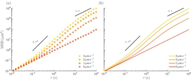 Figure 4.1: Mean square displacement (MSD) of active Brownian par- par-ticles and eﬀective diﬀusion coeﬃcients