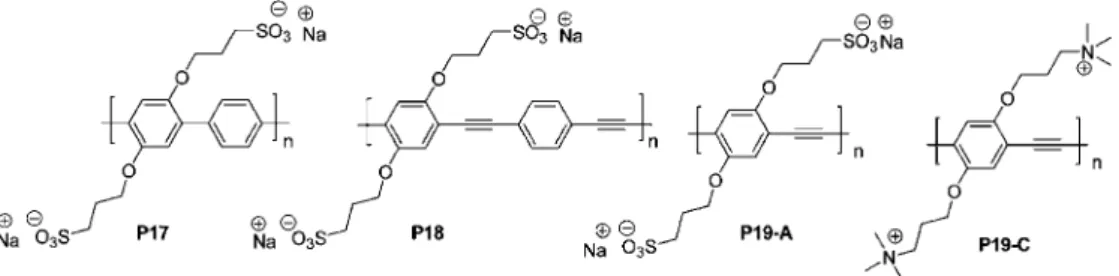 Fig. 10 Schematic representation of the supramolecular interaction between protonated  poly(9,9-bis(diethylaminopropyl)-2,7-fluoreneco-1,4-phenylene) (P20) and SWNTs, showing a top and side view on the upper and lower right, respectively