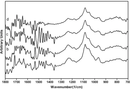 Fig. 5 ITC titration calorimetry curve of 5 mM BA binding to 0.5 mM ct-DNA in double-distilled water (T=25 °C)