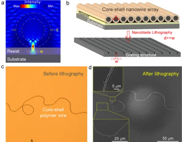 Figure 8 | Photonic Nanoblade Lithography (PNL). (a) Nano-blade lithography uses the focusing feature of NRM scattering in order to expose the photoresist in near subwavelength sizes