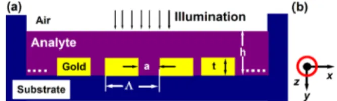 FIG. 1. (a) Schematic of the grating structure, where K—periodicity, a the slit width, and t—thickness, and (b) TM-polarization of the illumination.