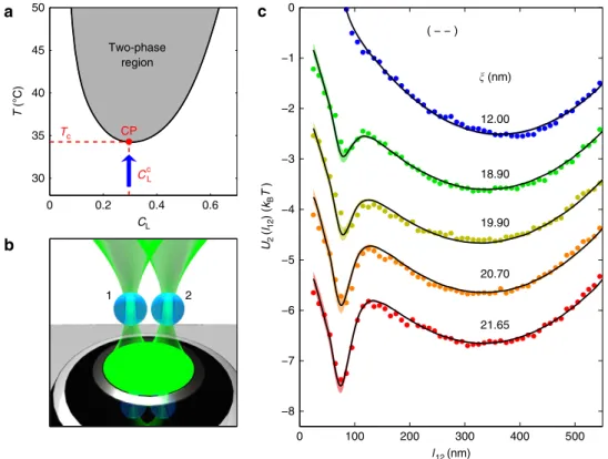 Figure 1 | Two-body effective potentials in a critical mixture. (a) Phase diagram of the water–2,6-lutidine mixture featuring a lower critical point (CP) at the bottom of the coexistence line (thick solid line 39 )
